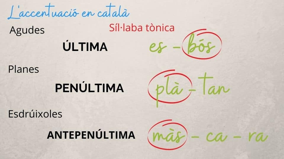 Infrografía paraules agudes, planes i esdrúixoles en català