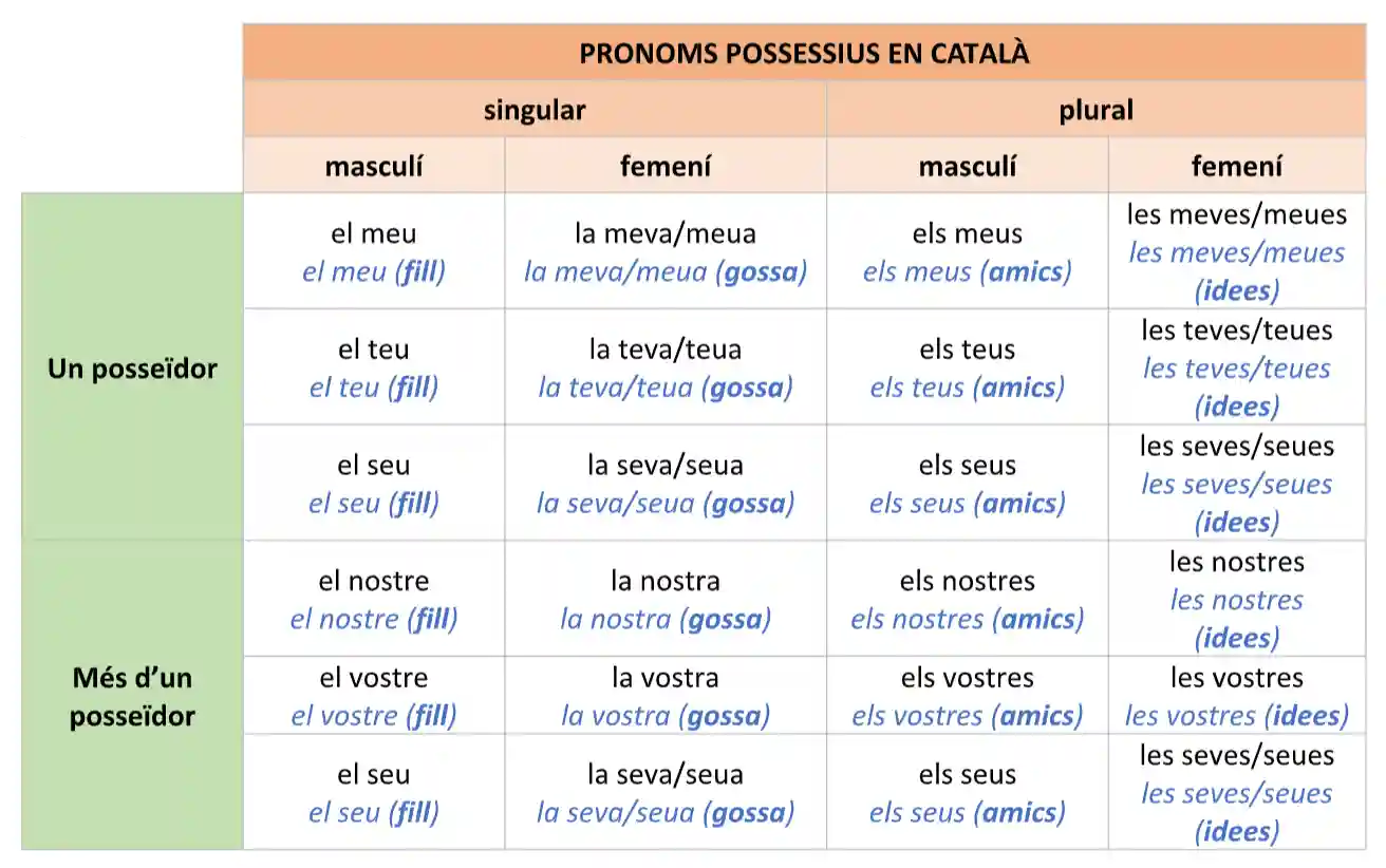 pronoms possessius en català